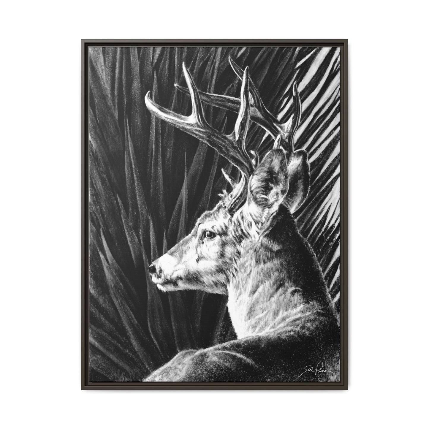 "Coues Buck" Framed Canvas