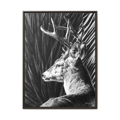 "Coues Buck" Framed Canvas