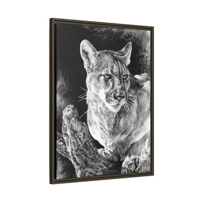 "Mountain Lion" Framed Canvas