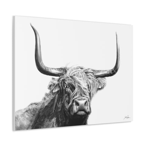 "Highlander" Gallery Wrapped Canvas