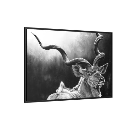 "Kudu" Framed Canvas