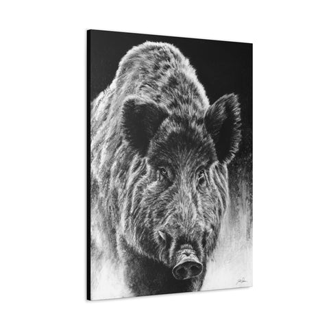 "Wild Boar" Gallery Wrapped Canvas