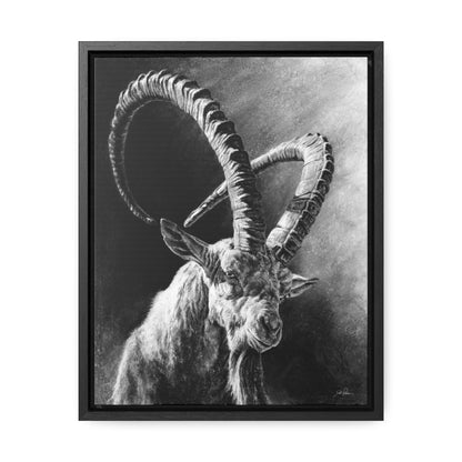 "Ibex" Gallery Wrapped/Framed Canvas