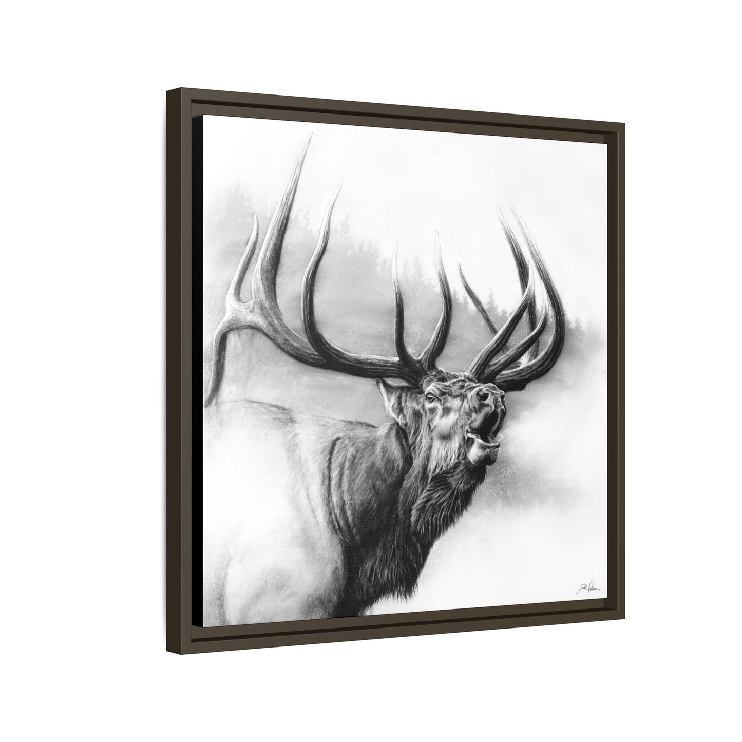 "Rocky Mountain King" Framed Canvas