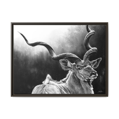 "Kudu" Framed Canvas