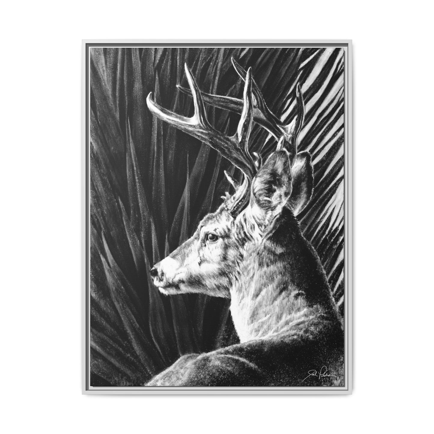 "Coues Buck" Framed Canvas