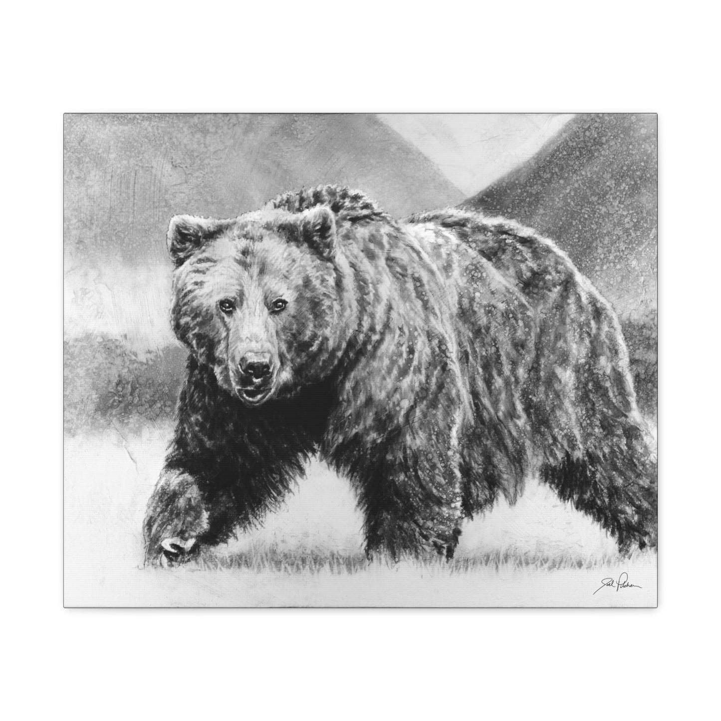 "Grizzly II" Gallery Wrapped Canvas