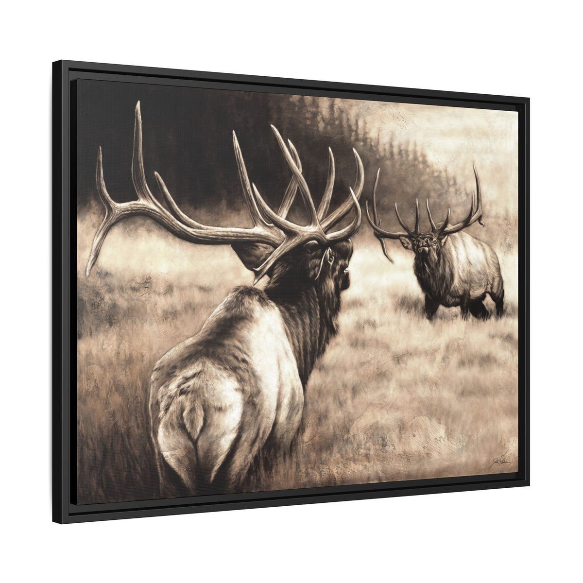 "Ready to Rumble" Framed Canvas