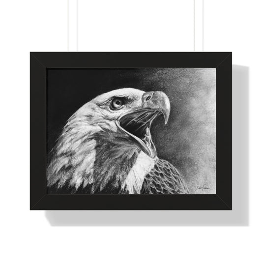 "Bald Eagle" Framed Paper Print