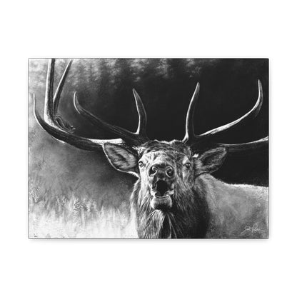 "Battle Cry" Stretched Canvas
