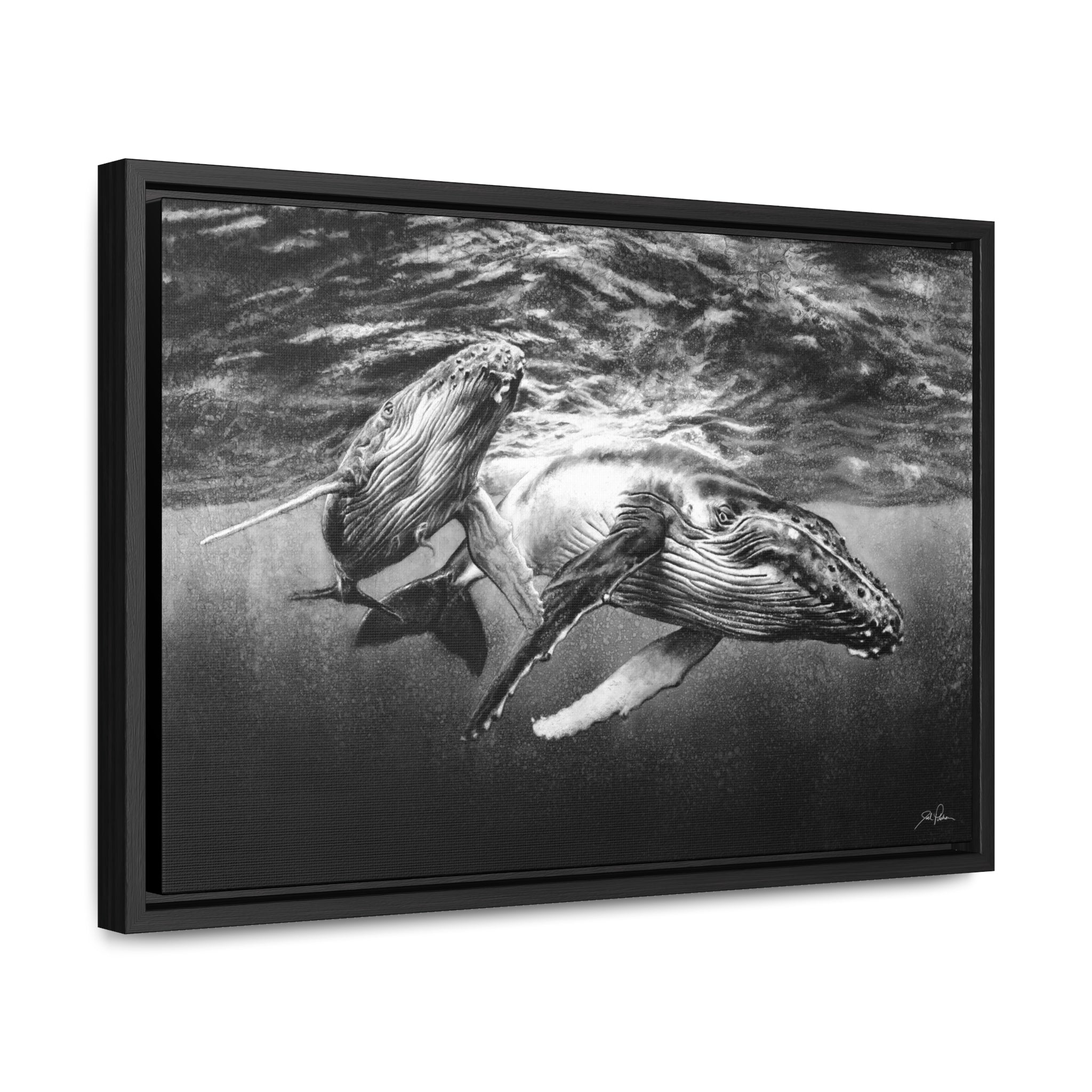 "Humpback Whales" Gallery Wrapped/Framed Canvas
