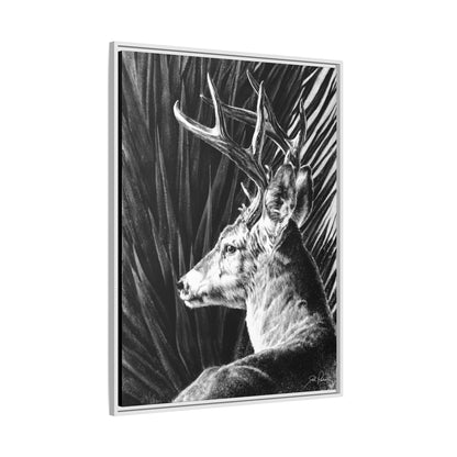 "Coues Buck" Framed Canvas