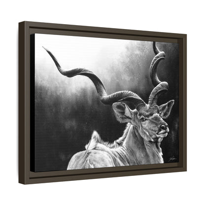 "Kudu" Framed Canvas