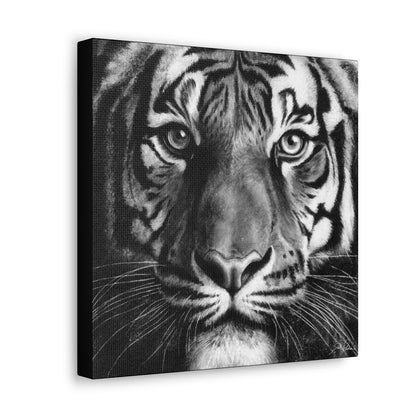 "Tiger" Gallery Wrapped Canvas