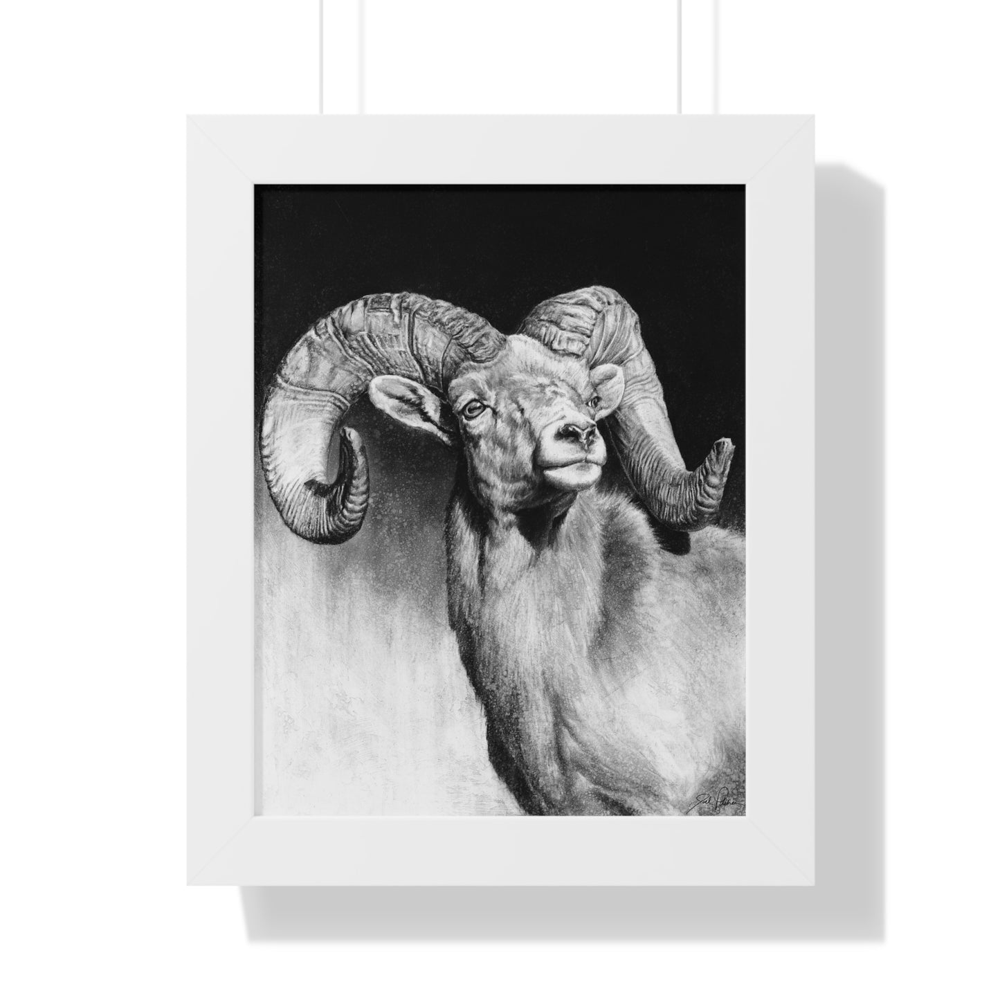 "Bighorn" Framed Paper Print