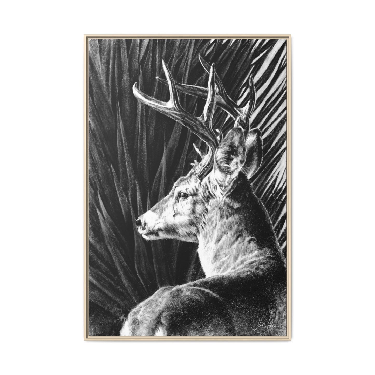 "Coues Buck" Framed Canvas