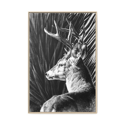 "Coues Buck" Framed Canvas