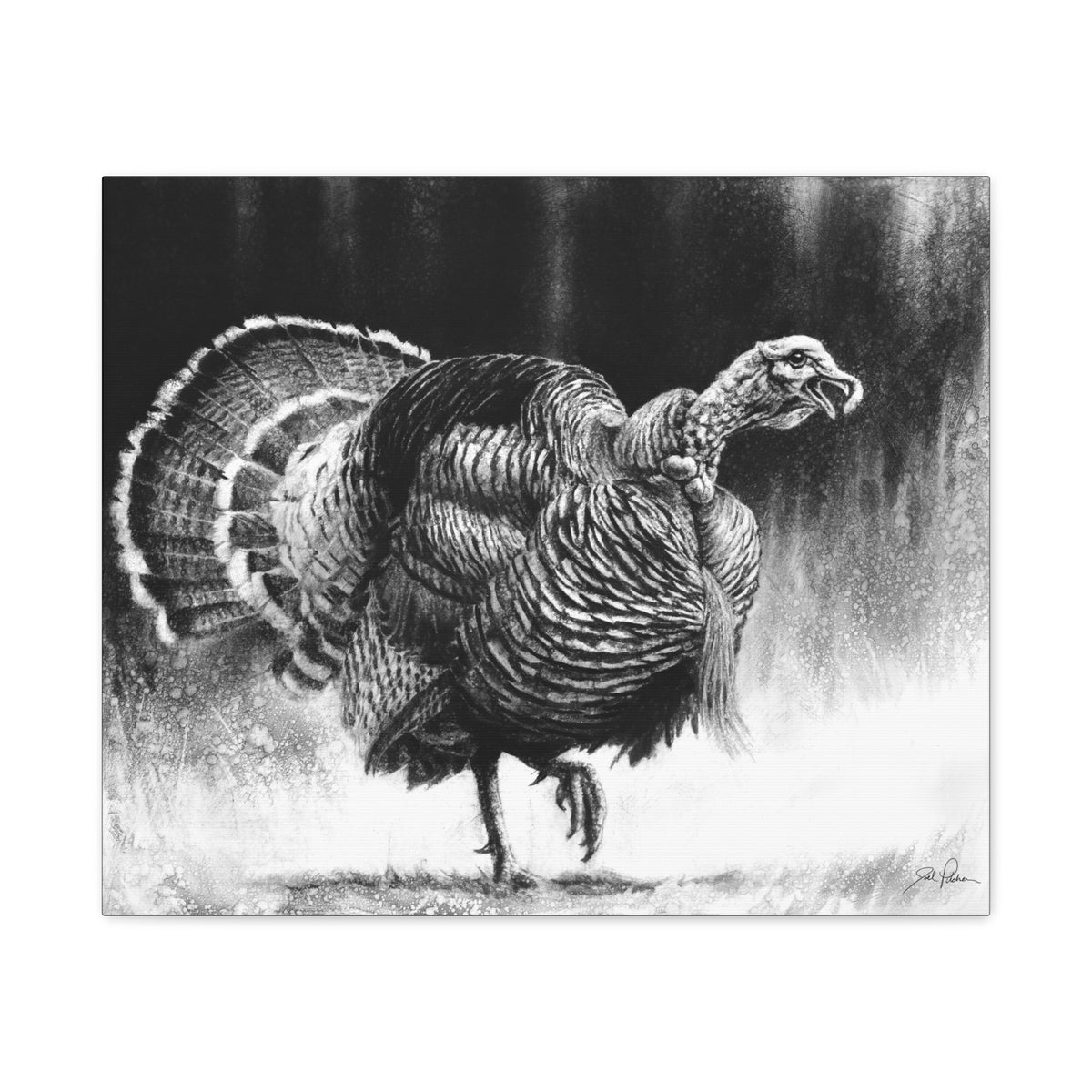 "Gobbler" Stretched Canvas