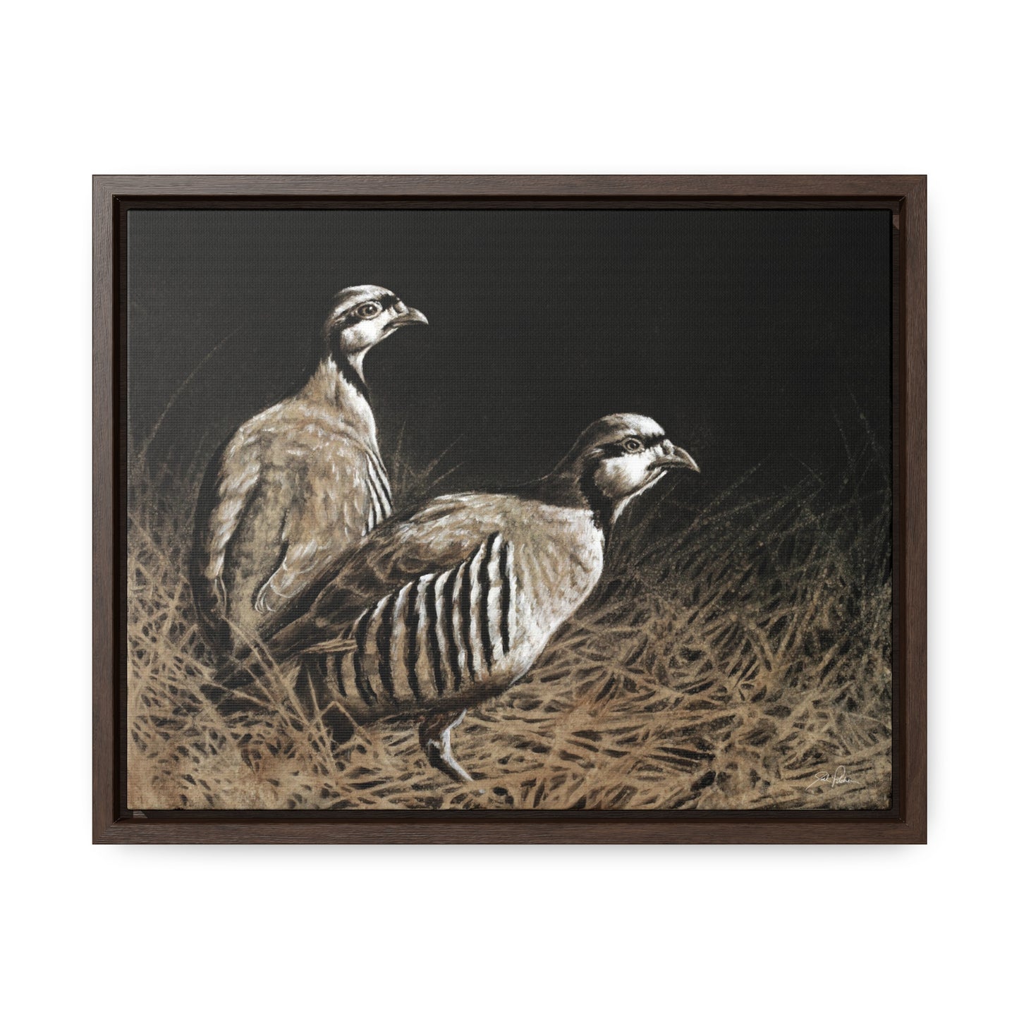 "Chukars" Gallery Wrapped/Framed Canvas