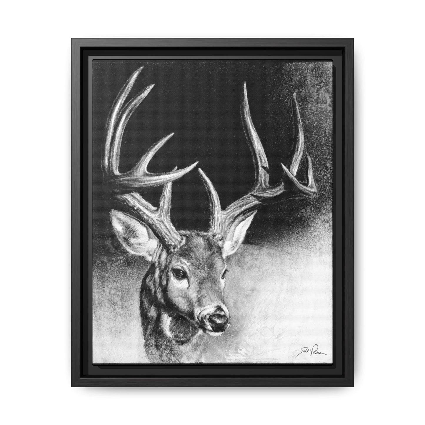 "Whitetail Buck" Framed Canvas