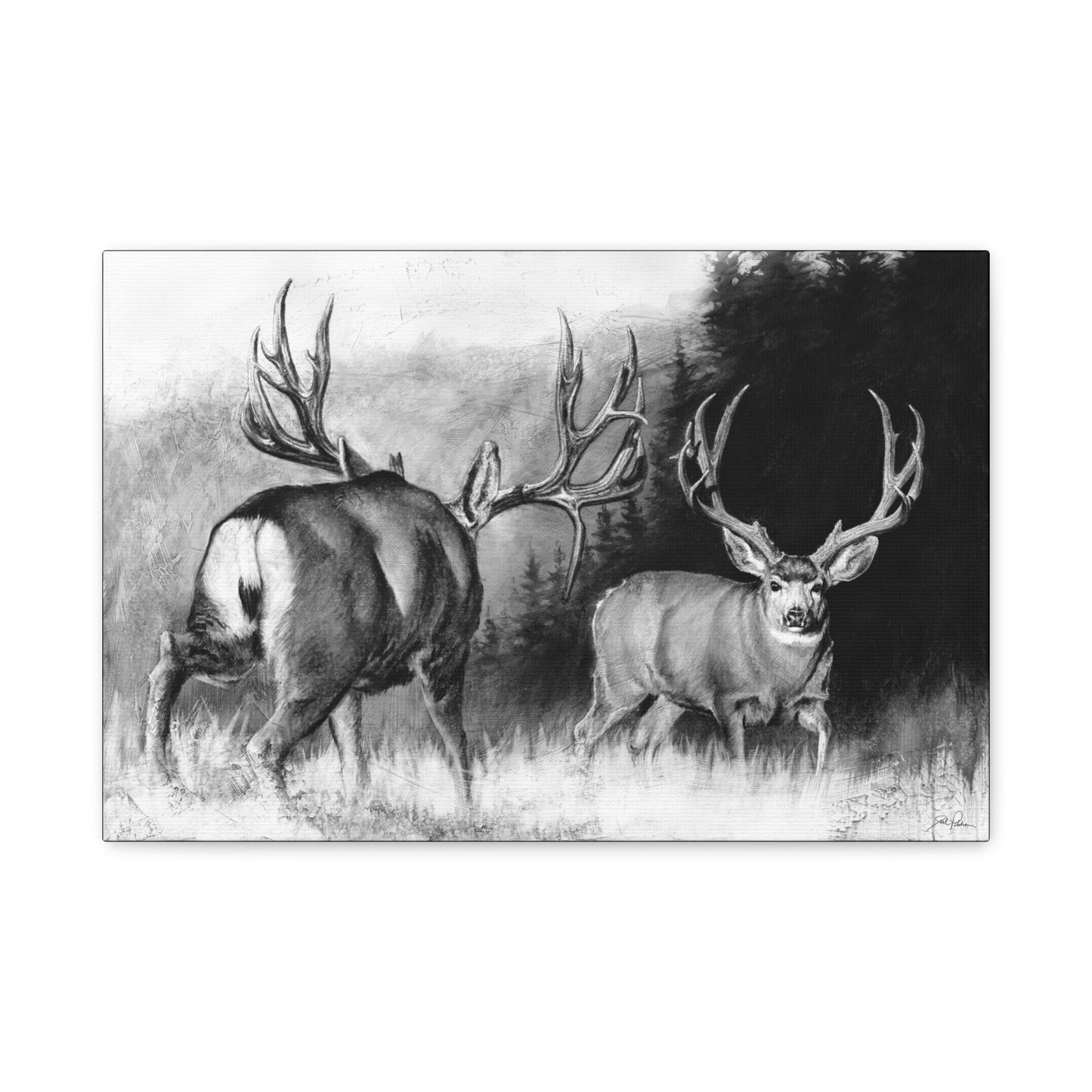 "Face Off" Stretched Canvas