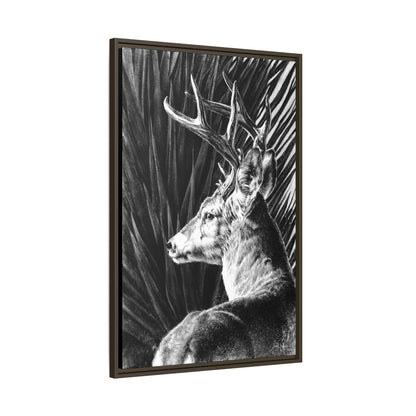 "Coues Buck" Framed Canvas