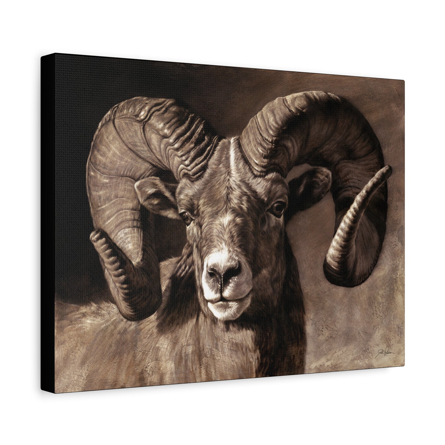 "Full Curl" Stretched Canvas