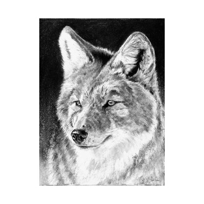"Coyote II" Premium Matte Paper Print.