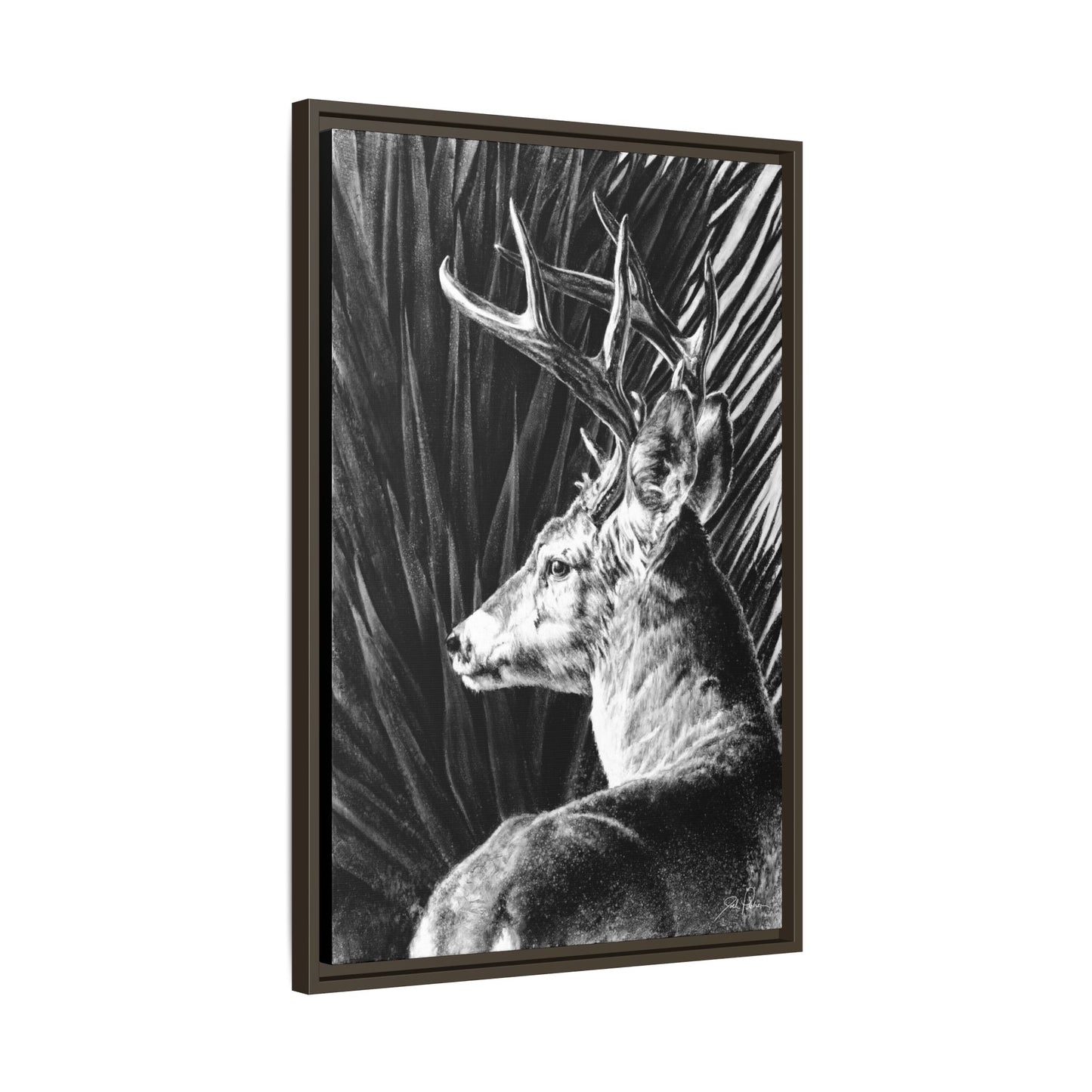 "Coues Buck" Framed Canvas