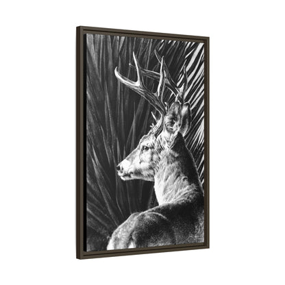 "Coues Buck" Framed Canvas