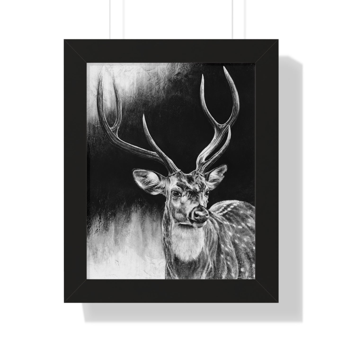 "Axis Buck" Framed Paper Print