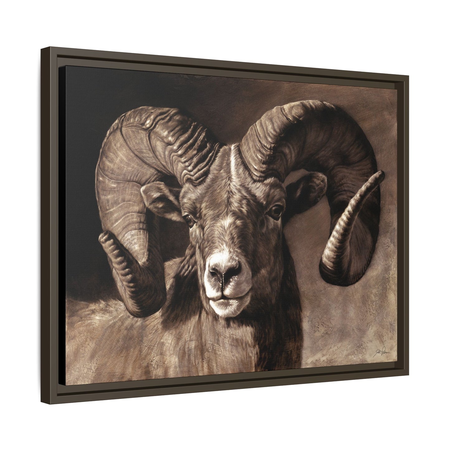 "Full Curl" Framed Canvas