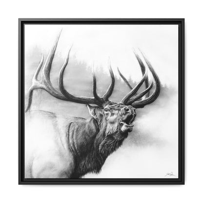 "Rocky Mountain King" Framed Canvas