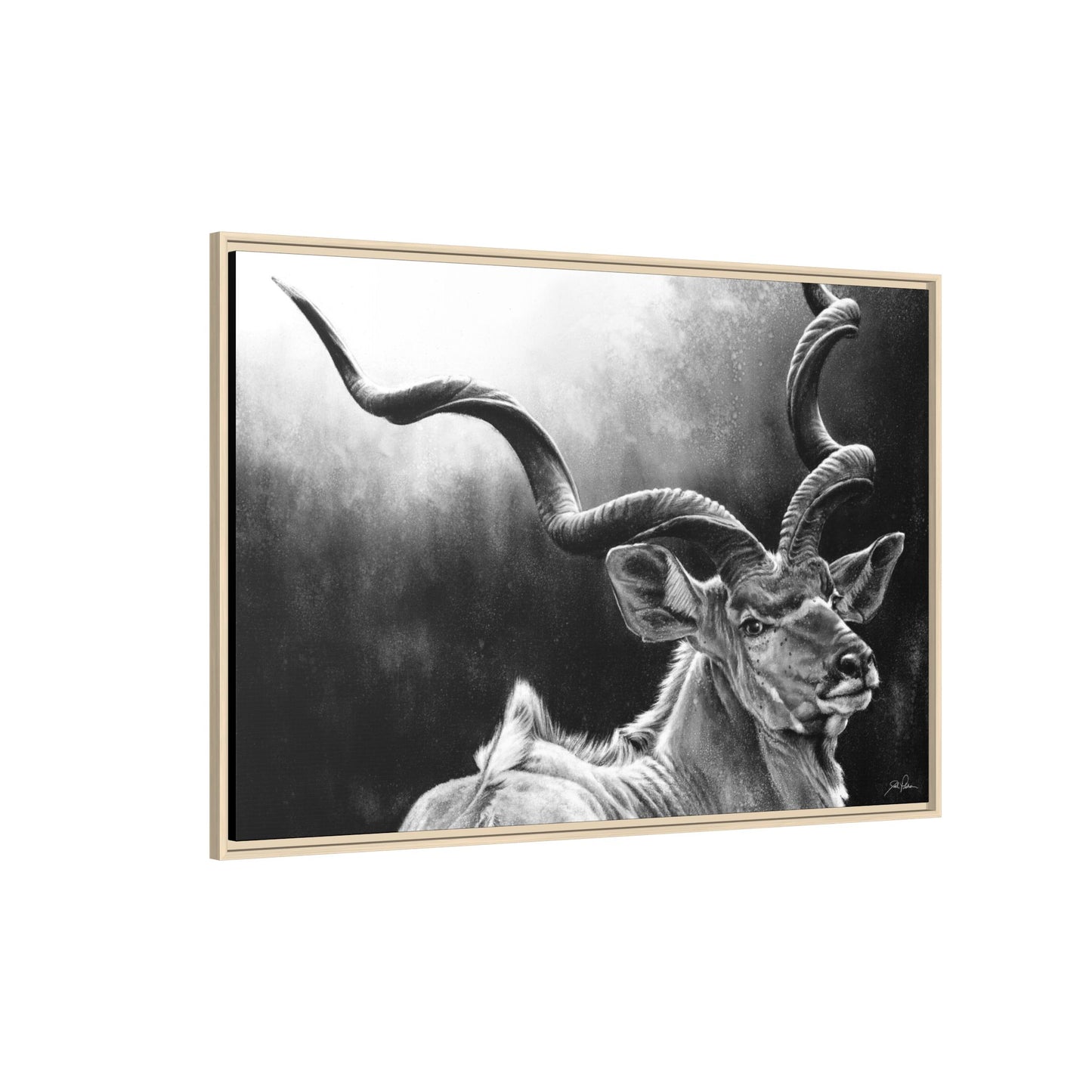 "Kudu" Framed Canvas