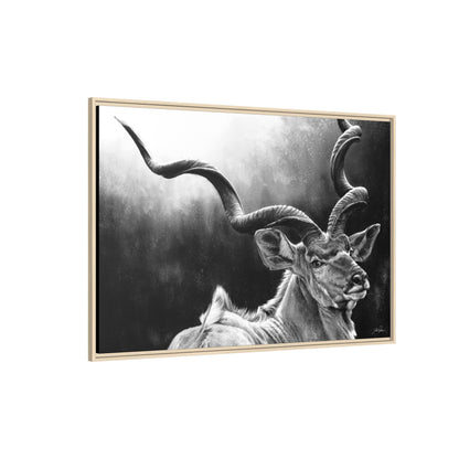 "Kudu" Framed Canvas