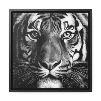 "Tiger" Gallery Wrapped/Framed Canvas