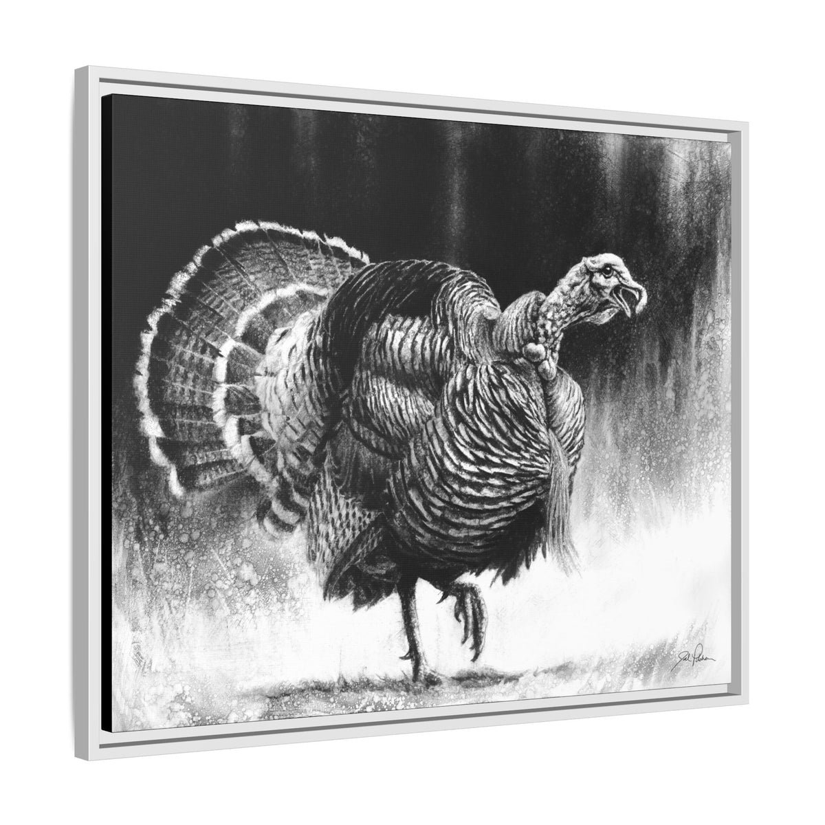 "Gobbler" Framed Canvas