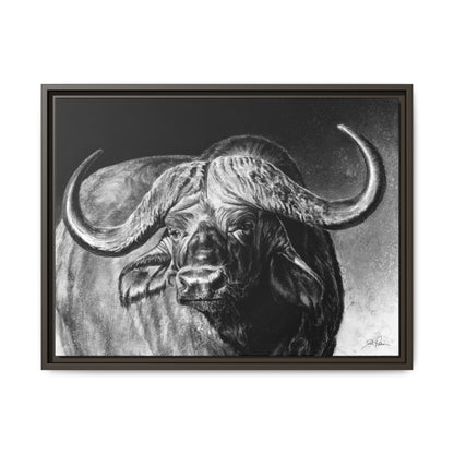 "Cape Buffalo" Framed Canvas