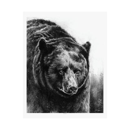 "Black Bear" Premium Matte Paper Print.