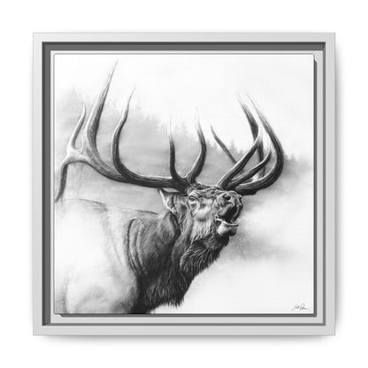"Rocky Mountain King" Framed Canvas