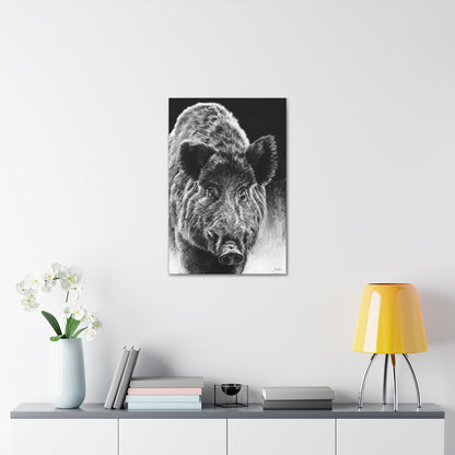 "Wild Boar" Gallery Wrapped Canvas