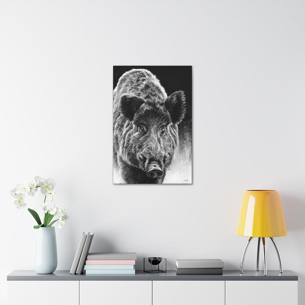 "Wild Boar" Gallery Wrapped Canvas