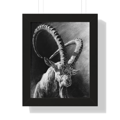 "Ibex" Framed Paper Print