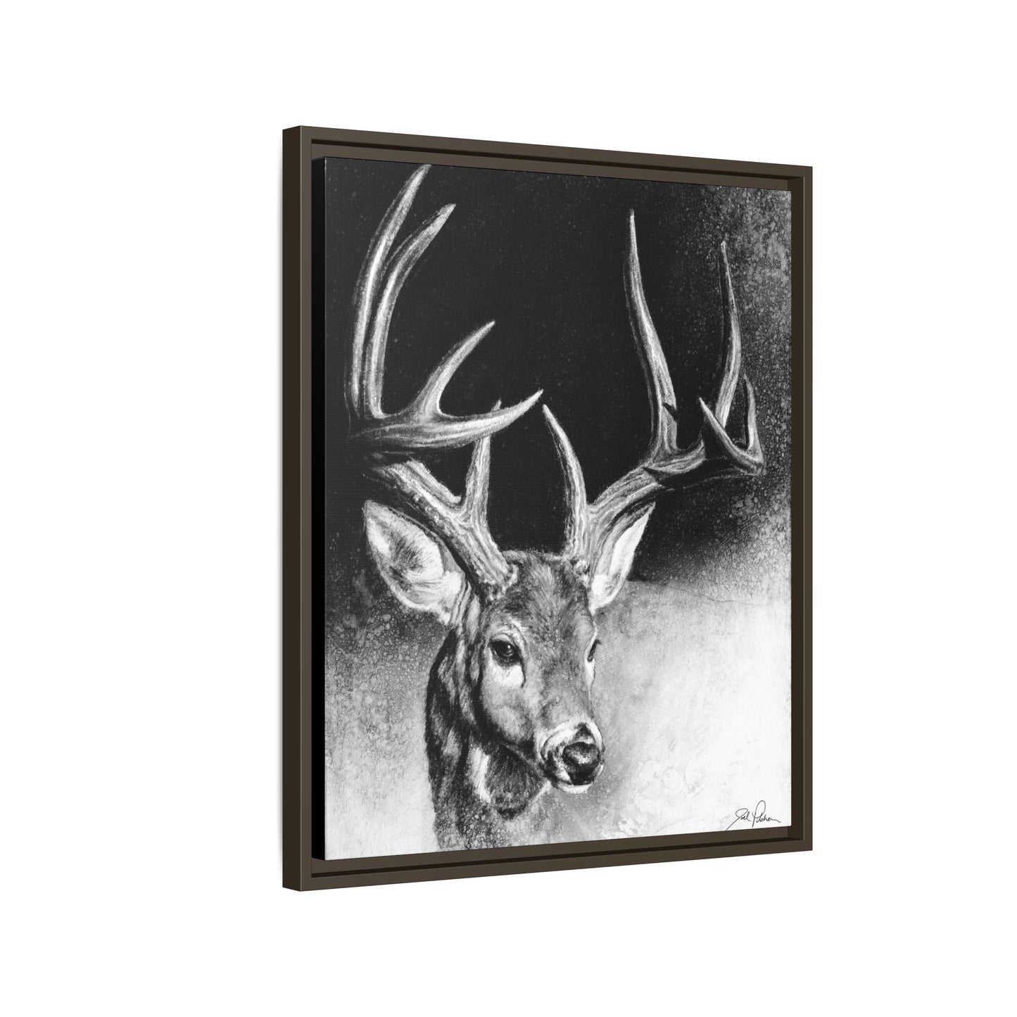 "Whitetail Buck" Framed Canvas