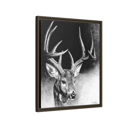"Whitetail Buck" Framed Canvas