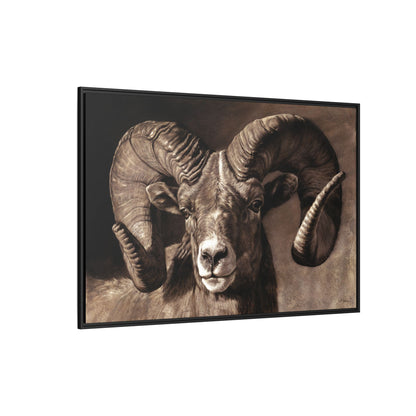 "Full Curl" Framed Canvas