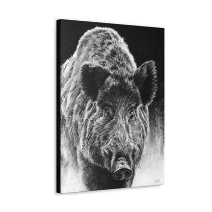 "Wild Boar" Gallery Wrapped Canvas