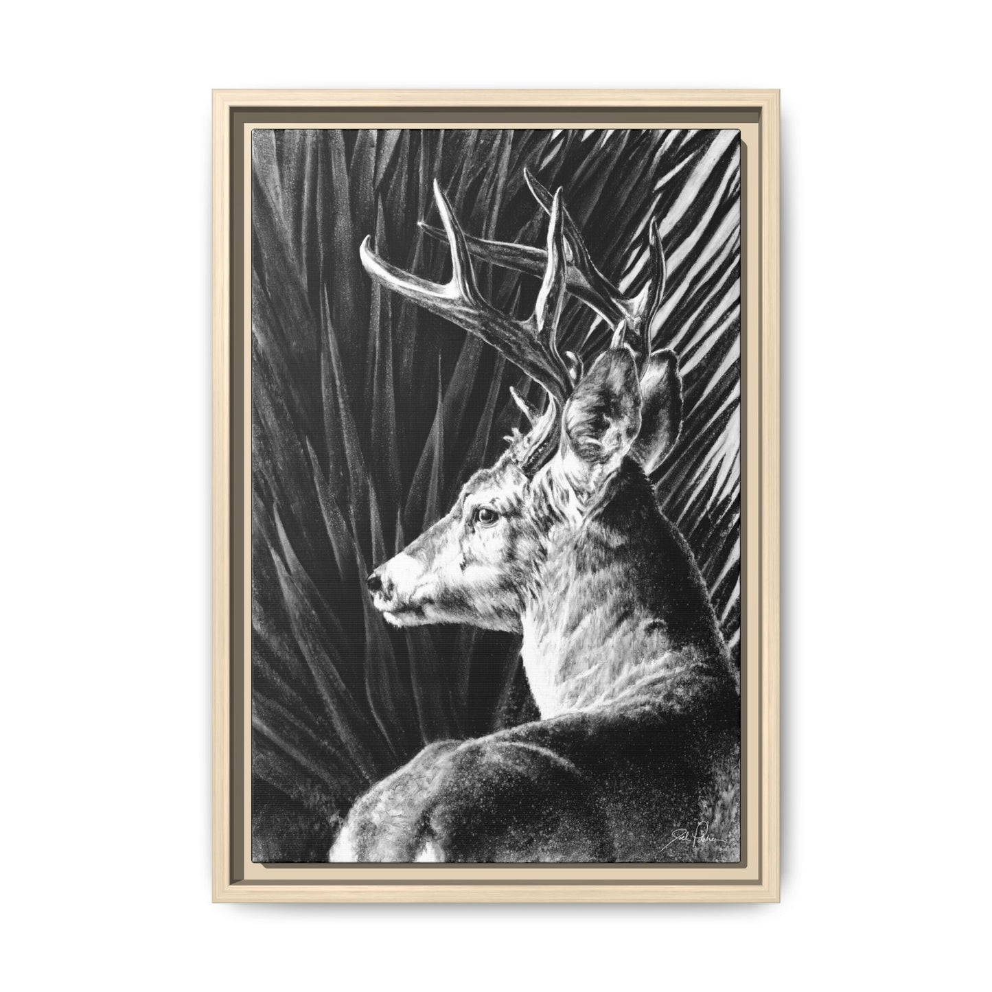 "Coues Buck" Framed Canvas