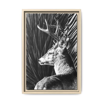 "Coues Buck" Framed Canvas
