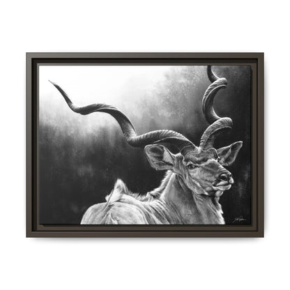 "Kudu" Framed Canvas
